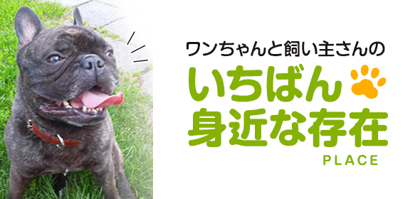 札幌市南区藤野のドッグトリミングサロンです。ペットホテルの他、フード＆ペット用品を取り扱いしています。